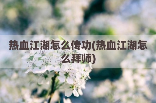 热血江湖怎么传功(热血江湖怎么拜师)