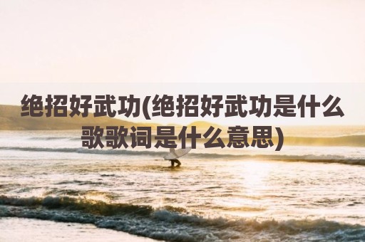 绝招好武功(绝招好武功是什么歌歌词是什么意思)