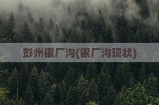 彭州银厂沟(银厂沟现状)