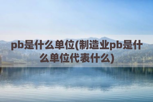 pb是什么单位(制造业pb是什么单位代表什么)