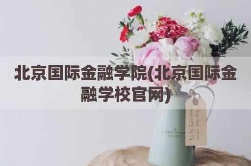 北京国际金融学院(北京国际金融学校官网)