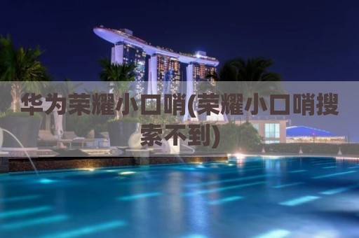 华为荣耀小口哨(荣耀小口哨搜索不到)