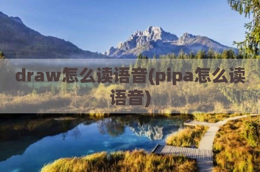draw怎么读语音(pipa怎么读语音)