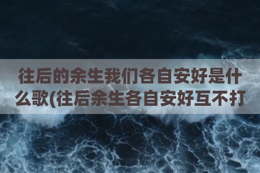 往后的余生我们各自安好是什么歌(往后余生各自安好互不打扰)