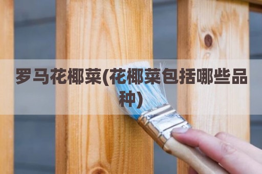 罗马花椰菜(花椰菜包括哪些品种)
