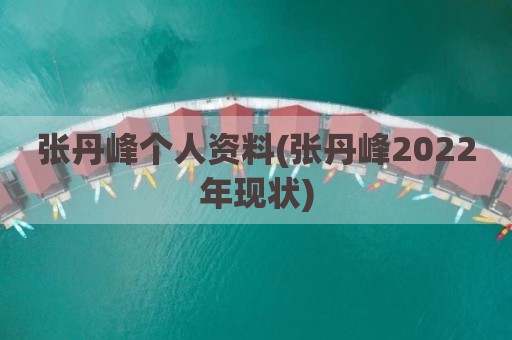 张丹峰个人资料(张丹峰2022年现状)