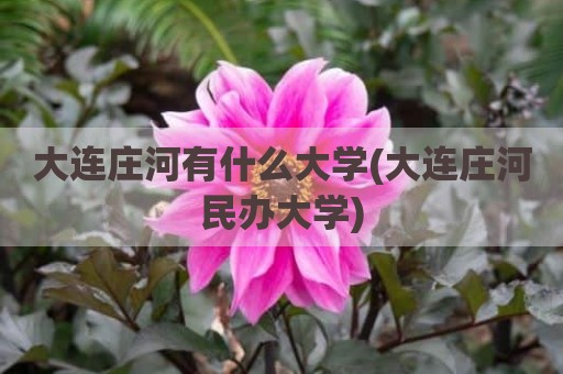 大连庄河有什么大学(大连庄河民办大学)