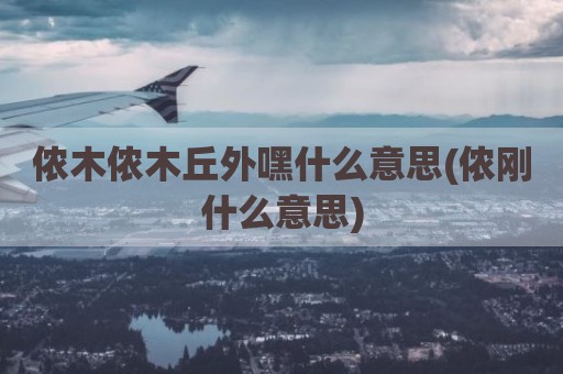 侬木侬木丘外嘿什么意思(侬刚什么意思)