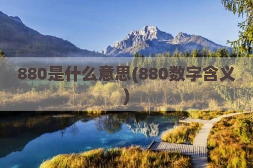 880是什么意思(880数字含义)