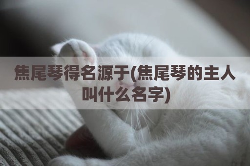 焦尾琴得名源于(焦尾琴的主人叫什么名字)