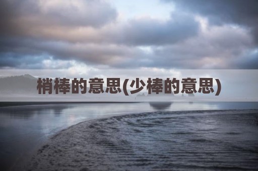 梢棒的意思(少棒的意思)