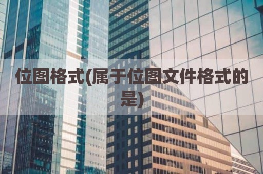 位图格式(属于位图文件格式的是)