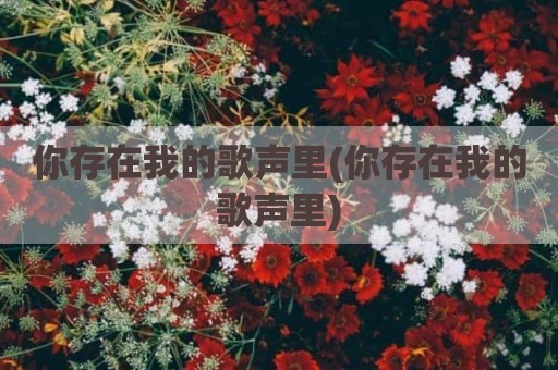 你存在我的歌声里(你存在我的歌声里)