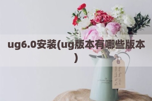 ug6.0安装(ug版本有哪些版本)