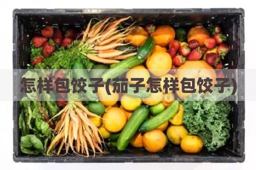 怎样包饺子(茄子怎样包饺子)