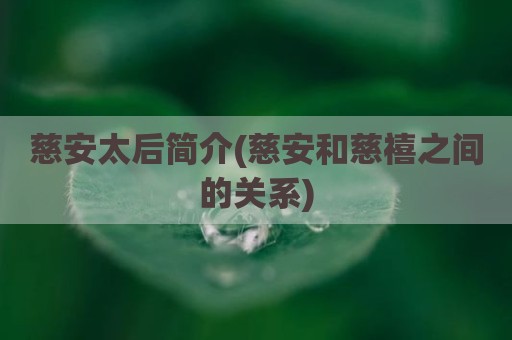 慈安太后简介(慈安和慈禧之间的关系)