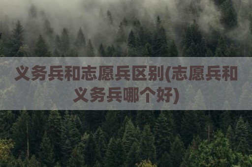 义务兵和志愿兵区别(志愿兵和义务兵哪个好)