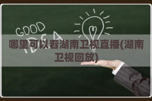 哪里可以看湖南卫视直播(湖南卫视回放)
