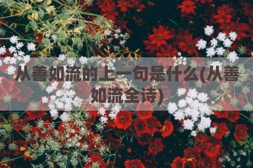 从善如流的上一句是什么(从善如流全诗)
