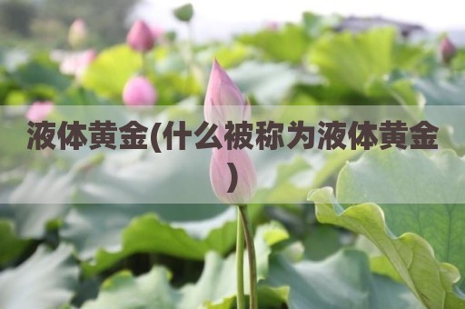 液体黄金(什么被称为液体黄金)