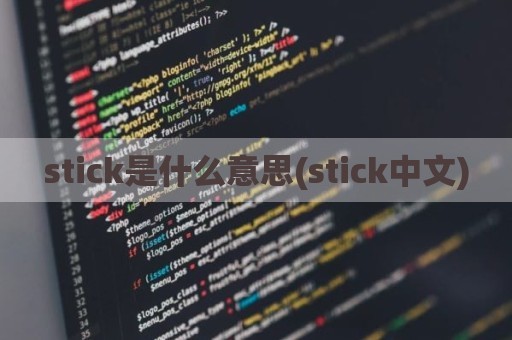 stick是什么意思(stick中文)