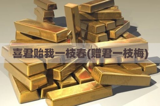 喜君贻我一枝春(赠君一枝梅)