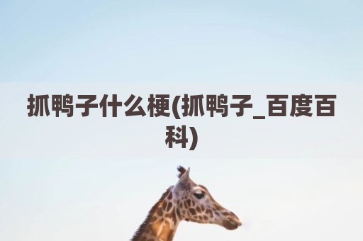 抓鸭子什么梗(抓鸭子_百度百科)