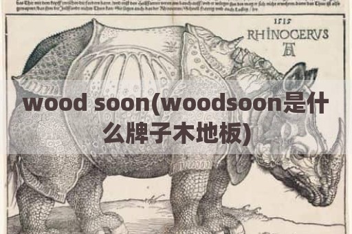 wood soon(woodsoon是什么牌子木地板)