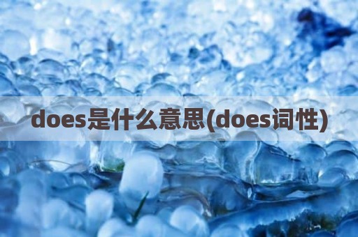 does是什么意思(does词性)