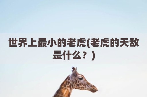 世界上最小的老虎(老虎的天敌是什么？)