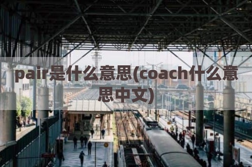 pair是什么意思(coach什么意思中文)