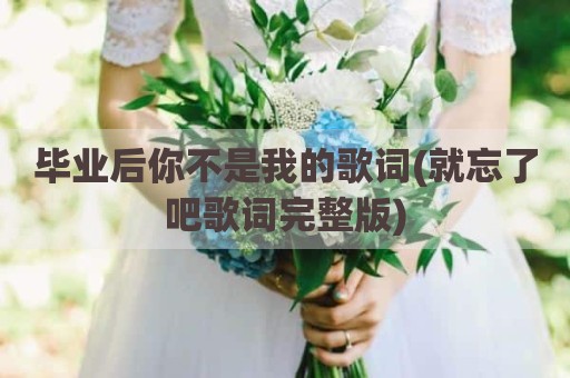 毕业后你不是我的歌词(就忘了吧歌词完整版)