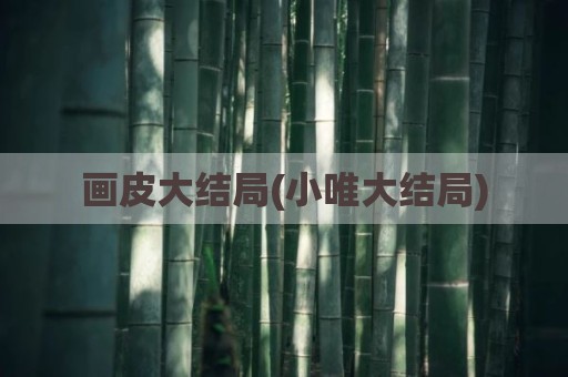 画皮大结局(小唯大结局)