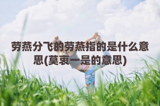 劳燕分飞的劳燕指的是什么意思(莫衷一是的意思)