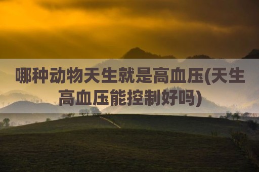 哪种动物天生就是高血压(天生高血压能控制好吗)