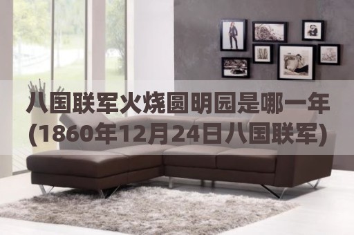 八国联军火烧圆明园是哪一年(1860年12月24日八国联军)