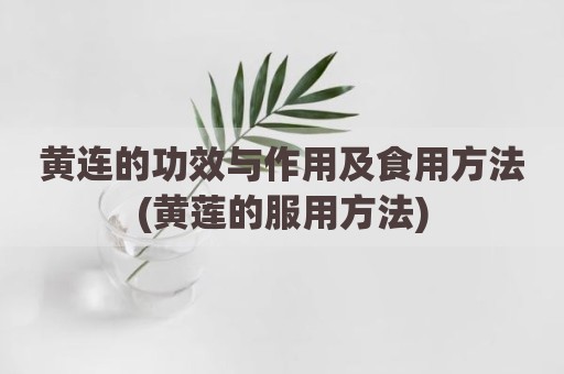 黄连的功效与作用及食用方法(黄莲的服用方法)
