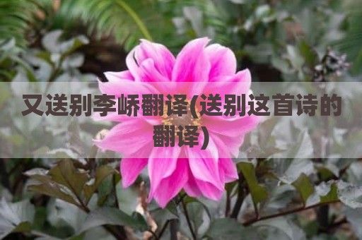又送别李峤翻译(送别这首诗的翻译)