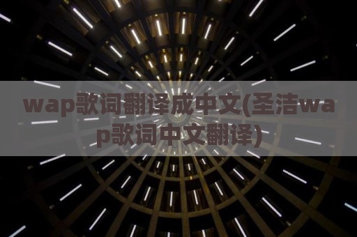 wap歌词翻译成中文(圣洁wap歌词中文翻译)