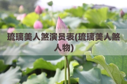 琉璃美人煞演员表(琉璃美人煞人物)