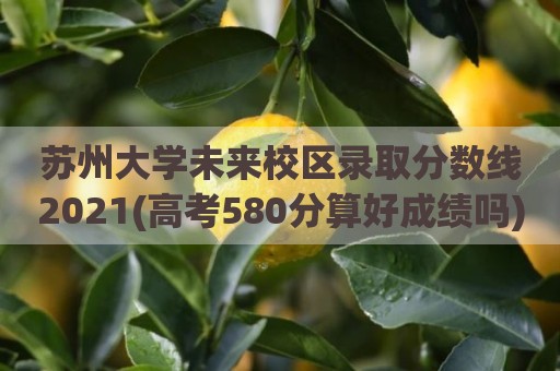 苏州大学未来校区录取分数线2021(高考580分算好成绩吗)