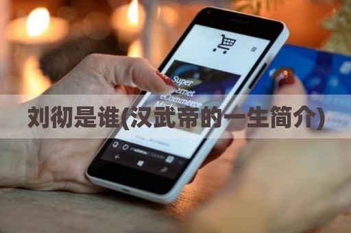 刘彻是谁(汉武帝的一生简介)
