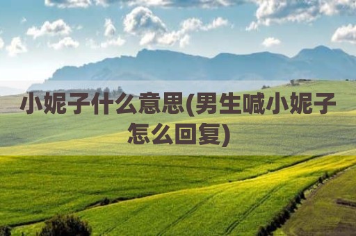 小妮子什么意思(男生喊小妮子怎么回复)