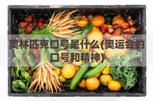 奥林匹克口号是什么(奥运会的口号和精神)