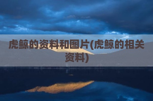 虎鲸的资料和图片(虎鲸的相关资料)