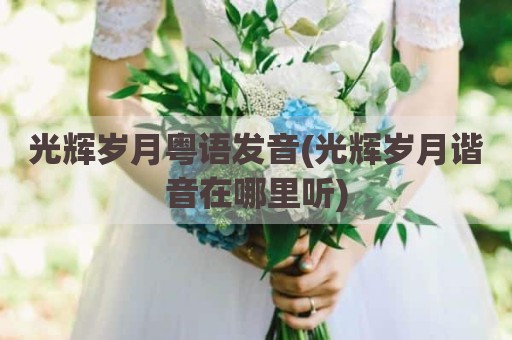 光辉岁月粤语发音(光辉岁月谐音在哪里听)