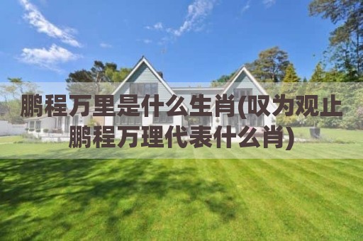 鹏程万里是什么生肖(叹为观止鹏程万理代表什么肖)