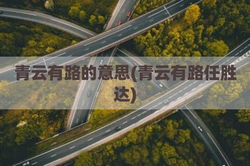 青云有路的意思(青云有路任胜达)