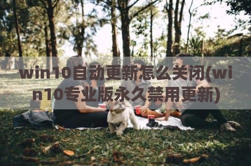 win10自动更新怎么关闭(win10专业版永久禁用更新)