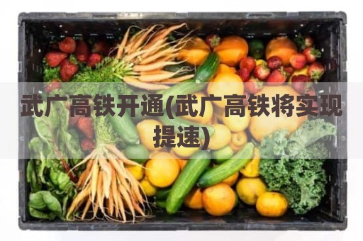 武广高铁开通(武广高铁将实现提速)